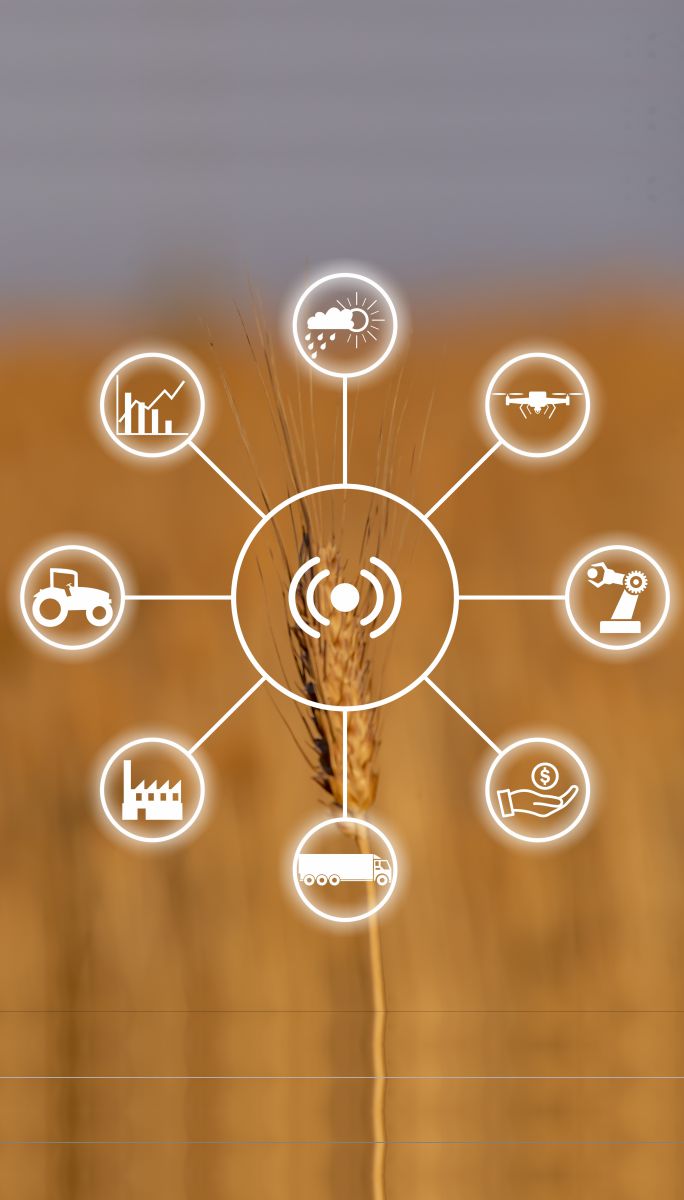 AGRICULTURE SUPPLY CHAIN DYNAMICS